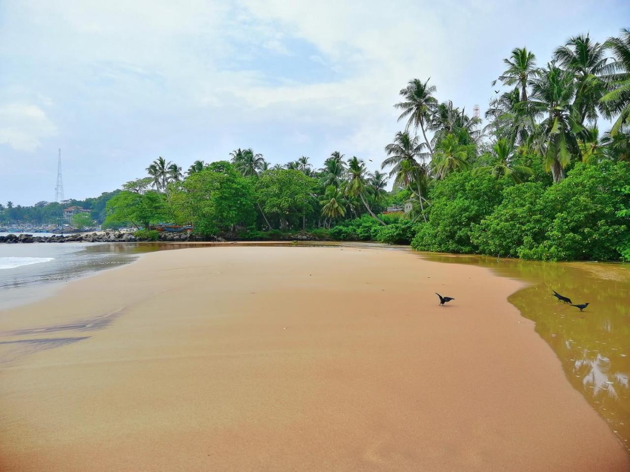 Mars Hotel Tangalle Exterior foto